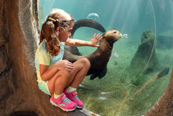 little girl with otter