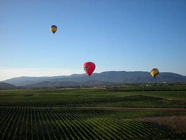 hot air balloon at sunrise