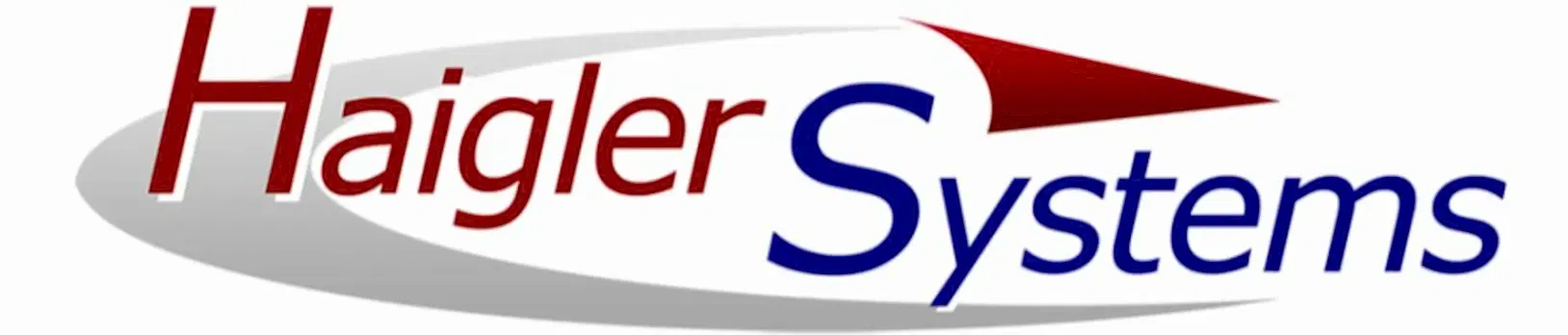 Partner logo 6