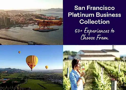 SF Business Collection.jpg