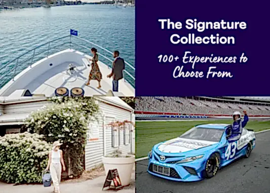 The Signature Collection.jpeg